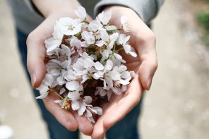 white flowers in hands